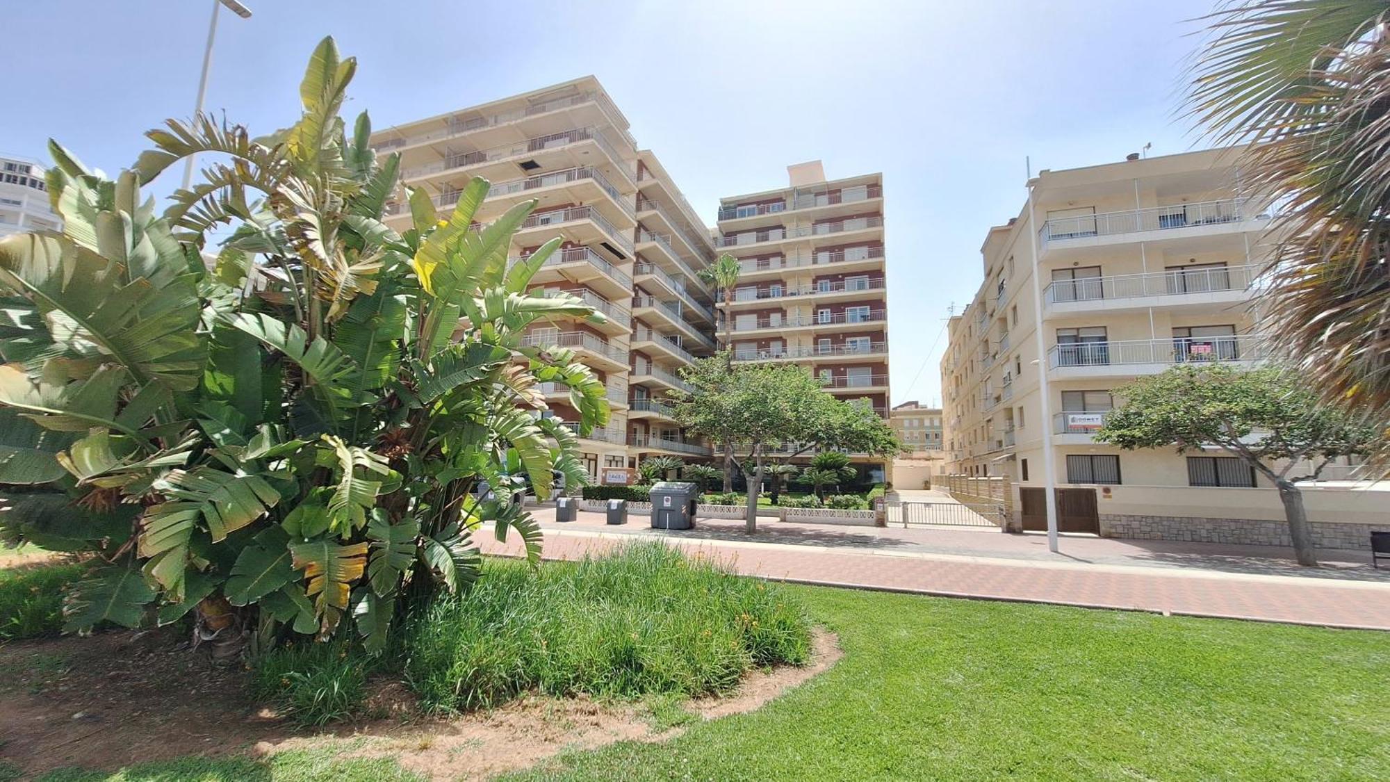 Gandia Primera Linea Caracola Beach View Eksteriør billede